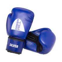 Перчатки боксерские SILVER BGS-2039, 12oz, к/з, синий